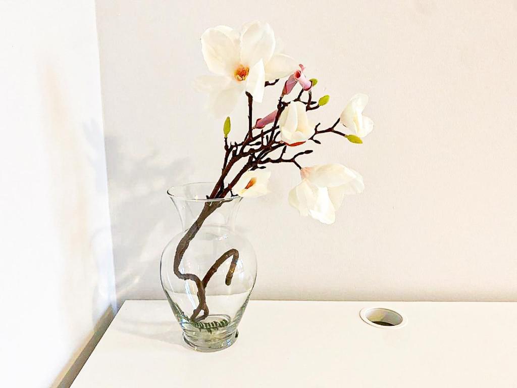 Bright Apartment Close To City With Free Parking โตรอนโต ภายนอก รูปภาพ